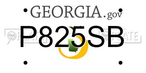 P825SB Georgia License Plate