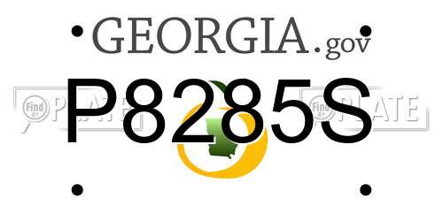P8285S Georgia License Plate