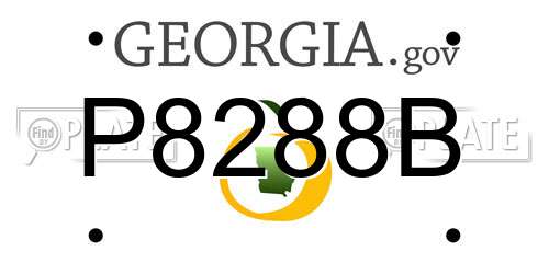 P8288B Georgia License Plate