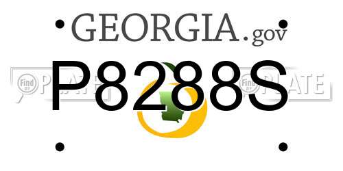 P8288S Georgia License Plate