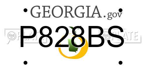 P828BS Georgia License Plate