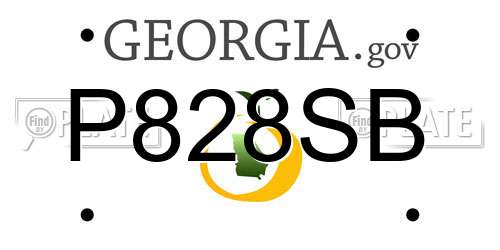 P828SB Georgia License Plate