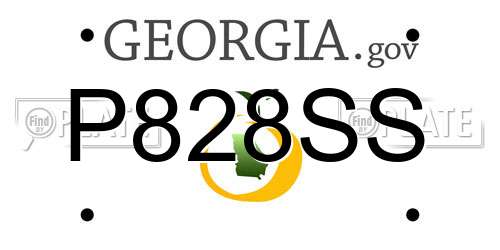P828SS Georgia License Plate