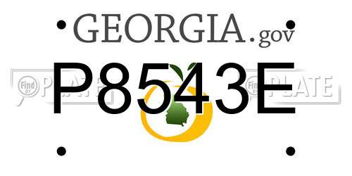 P8543E Georgia License Plate