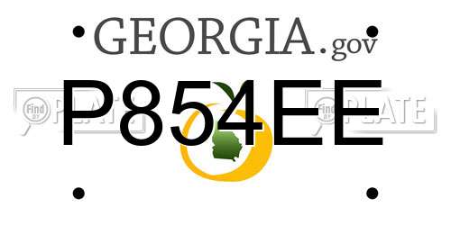 P854EE Georgia License Plate