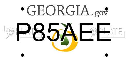 P85AEE Georgia License Plate