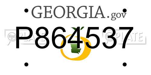 P864537 Georgia License Plate