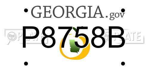 P8758B Georgia License Plate