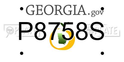 P8758S Georgia License Plate