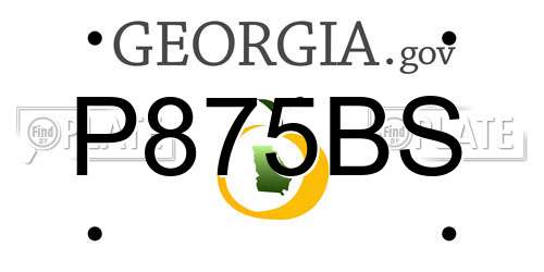 P875BS Georgia License Plate