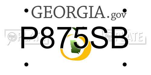 P875SB Georgia License Plate