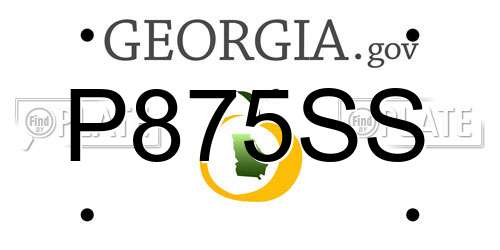 P875SS Georgia License Plate