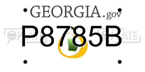 P8785B Georgia License Plate