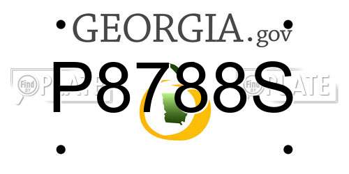 P8788S Georgia License Plate