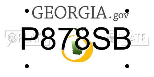P878SB Georgia License Plate