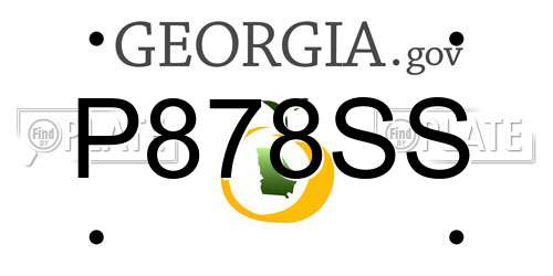 P878SS Georgia License Plate