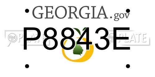 P8843E Georgia License Plate