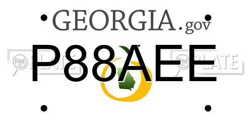P88AEE Georgia License Plate