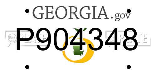 P904348 Georgia License Plate