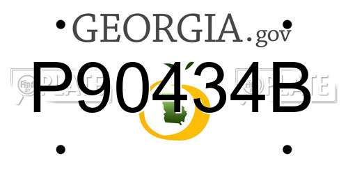 P90434B Georgia License Plate