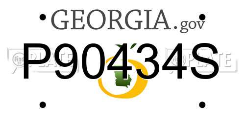 P90434S Georgia License Plate
