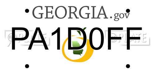 PA1D0FF Georgia License Plate