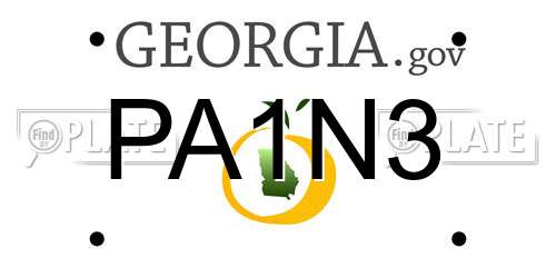 PA1N3 Georgia License Plate