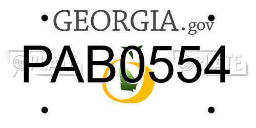 PAB0554 Georgia License Plate