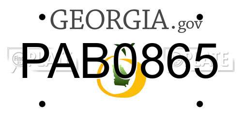 PAB0865 Georgia License Plate