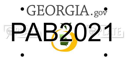 PAB2021 Georgia License Plate