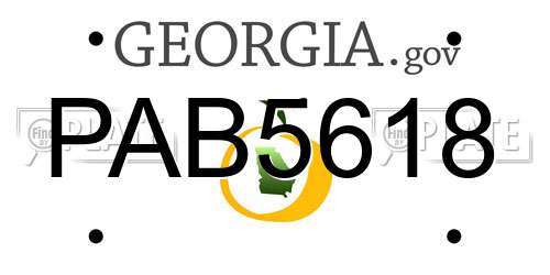 PAB5618 Georgia License Plate