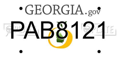 PAB8121 Georgia License Plate