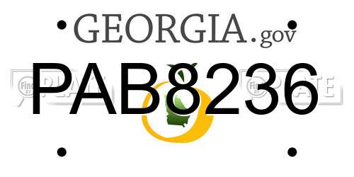 PAB8236 Georgia License Plate