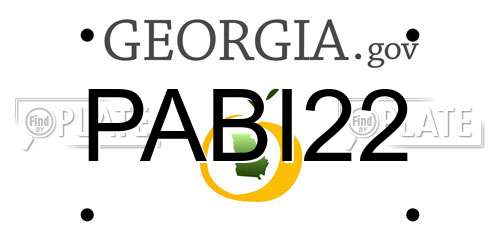 PABI22 Georgia License Plate