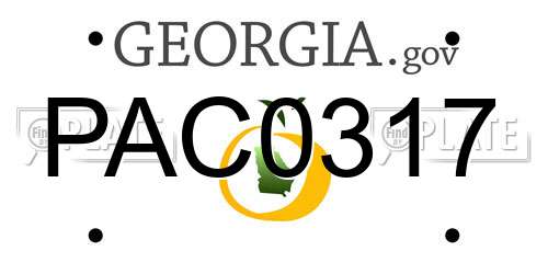 PAC0317 Georgia License Plate