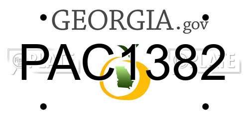 PAC1382 Georgia License Plate