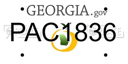 PAC1836 Georgia License Plate