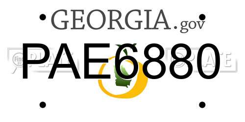 PAE6880 Georgia License Plate