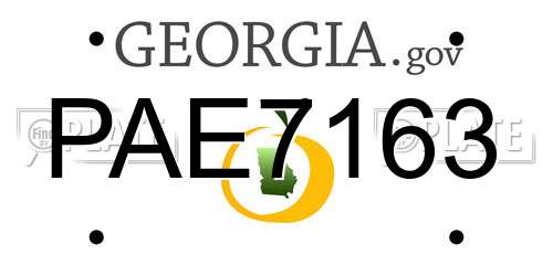 PAE7163 Georgia License Plate