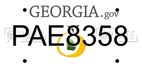 PAE8358 Georgia License Plate