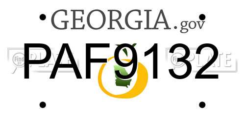 PAF9132 Georgia License Plate