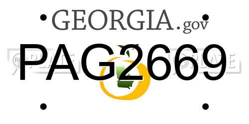 PAG2669 Georgia License Plate