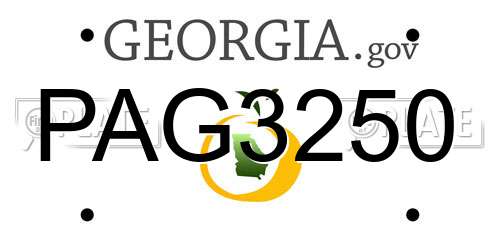 PAG3250 Georgia License Plate
