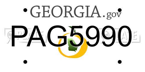 PAG5990 Georgia License Plate