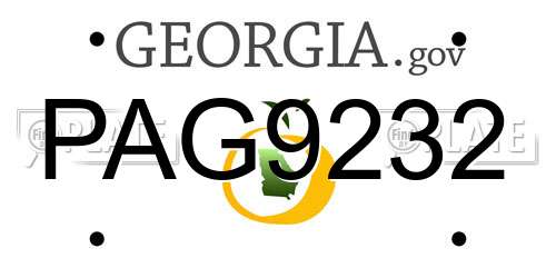 PAG9232 Georgia License Plate