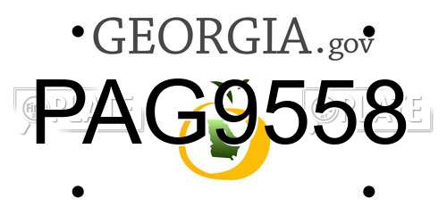 PAG9558 Georgia License Plate