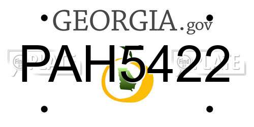 PAH5422 Georgia License Plate