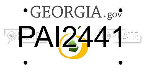 PAI2441 Georgia License Plate