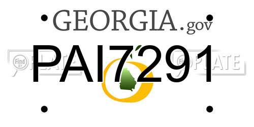 PAI7291 Georgia License Plate