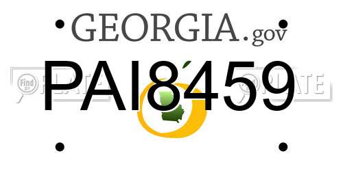 PAI8459 Georgia License Plate